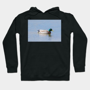 Mallard Hoodie